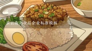 求云南省食品企业标准模板