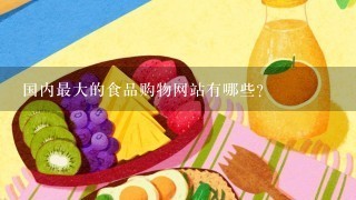 国内最大的食品购物网站有哪些？