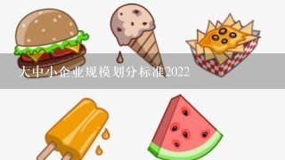 大中小企业规模划分标准2022