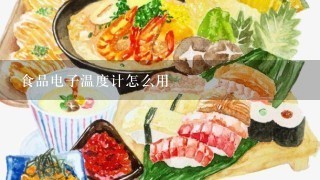 食品电子温度计怎么用