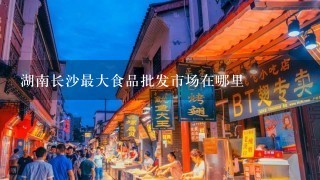 湖南长沙最大食品批发市场在哪里