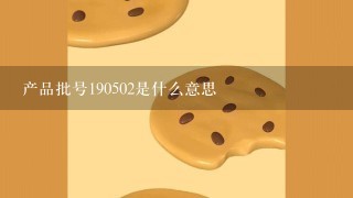 产品批号190502是什么意思