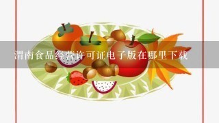 渭南食品经营许可证电子版在哪里下载