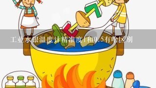 工业水银温度计精准度1和0.5有啥区别