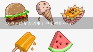 这些系统是否适用于中小型企业吗？